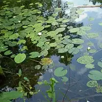 Карстовые озера Медведок 16...